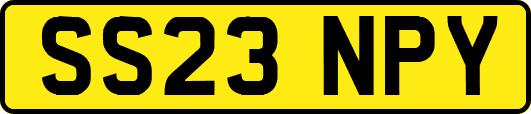 SS23NPY