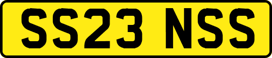 SS23NSS