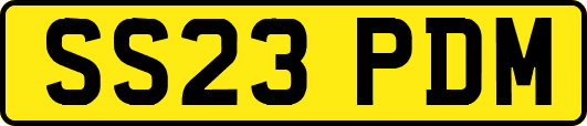 SS23PDM
