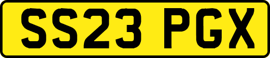 SS23PGX