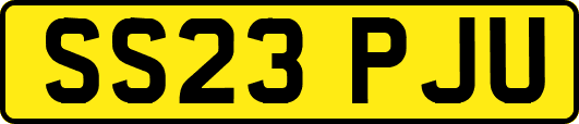 SS23PJU