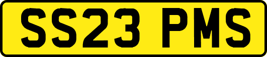 SS23PMS