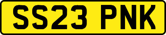 SS23PNK