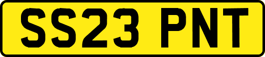 SS23PNT