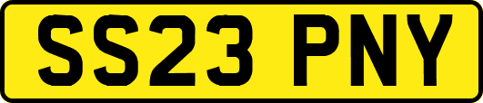 SS23PNY