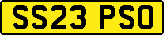 SS23PSO