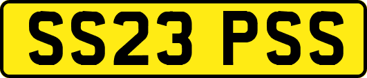 SS23PSS