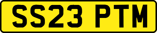 SS23PTM