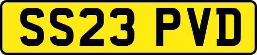 SS23PVD