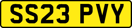 SS23PVY