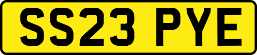SS23PYE