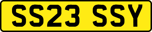 SS23SSY