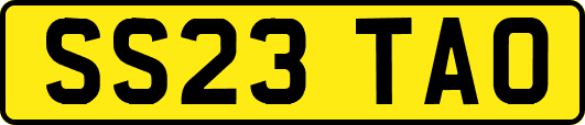 SS23TAO