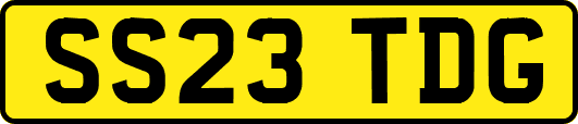 SS23TDG