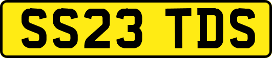 SS23TDS