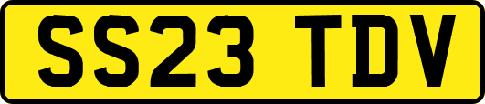 SS23TDV
