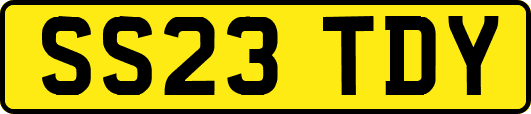 SS23TDY