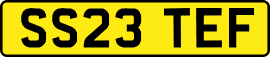 SS23TEF