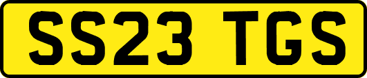 SS23TGS