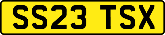 SS23TSX