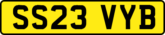 SS23VYB