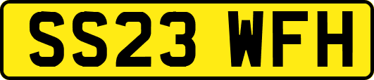 SS23WFH