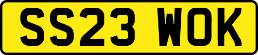 SS23WOK