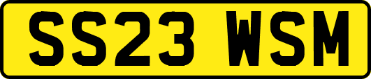 SS23WSM
