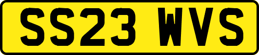 SS23WVS