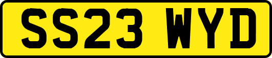 SS23WYD