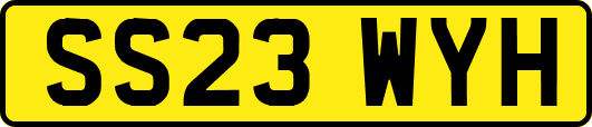 SS23WYH