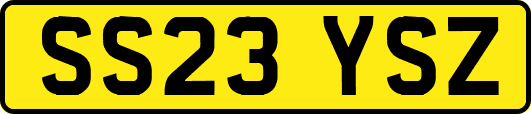 SS23YSZ
