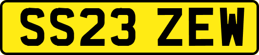 SS23ZEW