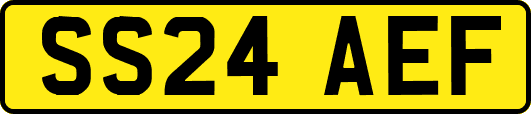 SS24AEF