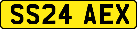 SS24AEX