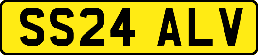 SS24ALV