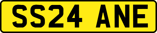 SS24ANE