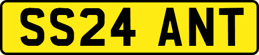 SS24ANT