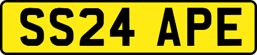 SS24APE