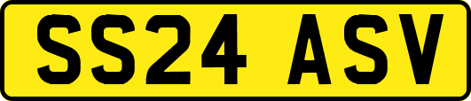 SS24ASV