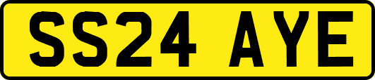 SS24AYE