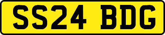 SS24BDG