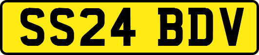 SS24BDV