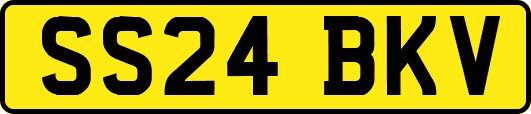 SS24BKV