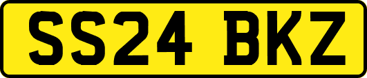 SS24BKZ