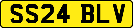 SS24BLV