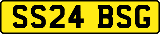 SS24BSG
