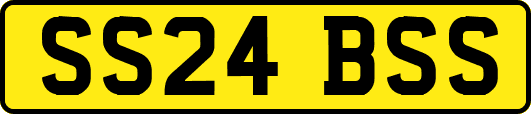 SS24BSS