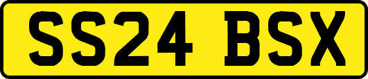SS24BSX