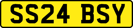 SS24BSY